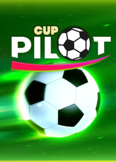 Pilot Cup